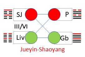 JueyinShaoyang